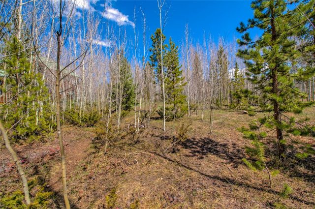 516 Royal Red Bird Drive photo 11