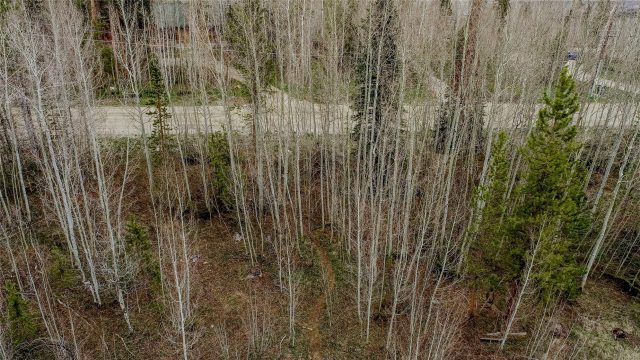 516 Royal Red Bird Drive photo 17