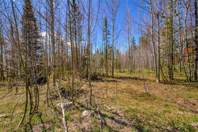 Land in Mesa Cortina West Sub, Silverthorne, CO — photo 1 (MLS S1057862)