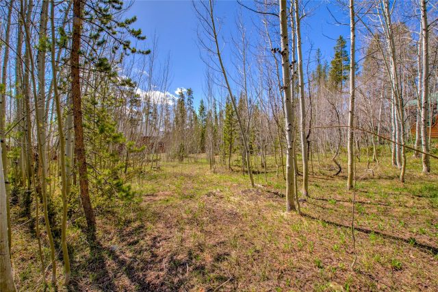 Land in Mesa Cortina West Sub, Silverthorne, CO — photo 2 (MLS S1057862)