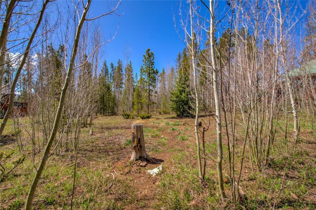 Land in Mesa Cortina West Sub, Silverthorne, CO — photo 3 (MLS S1057862)