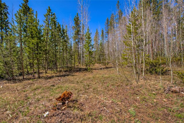 Land in Mesa Cortina West Sub, Silverthorne, CO — photo 4 (MLS S1057862)