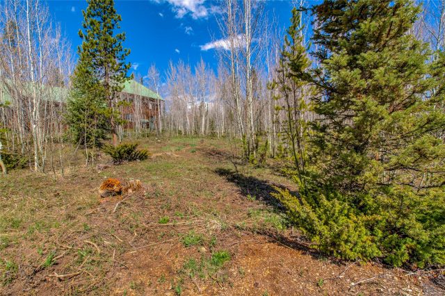 516 Royal Red Bird Drive photo 9