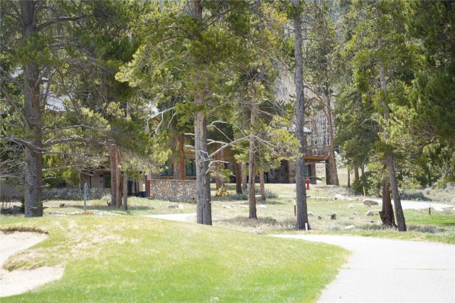 203 Gentian Road photo 13