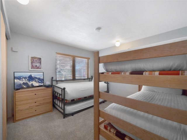 203 Gentian Road photo 21