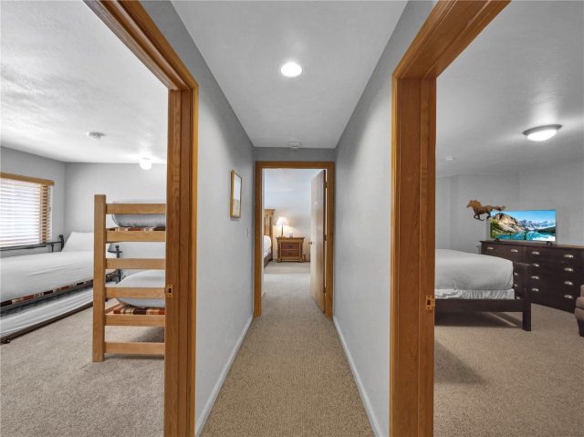 203 Gentian Road photo 22