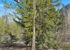 222 Creekside Drive 112 photo 1