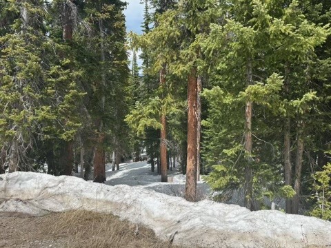 584 Camron Lane, Breckenridge, CO — main photo