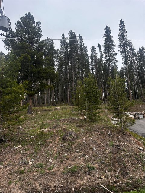 Land in Blue Ridge Amended Sub, Breckenridge, CO — photo 1 (MLS S1059415)