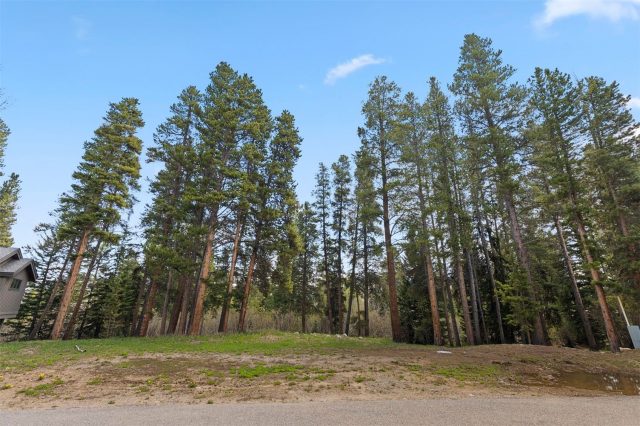 Land in Pines At 4 Oclock Sub, Breckenridge, CO — photo 2 (MLS S1059497)