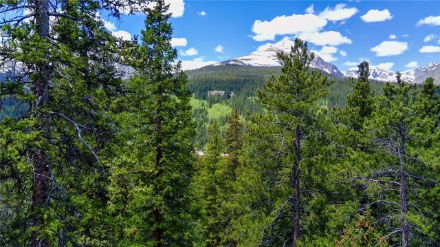 Land in 39 Degrees North Sub, Breckenridge, CO — photo 1 (MLS S1059562)