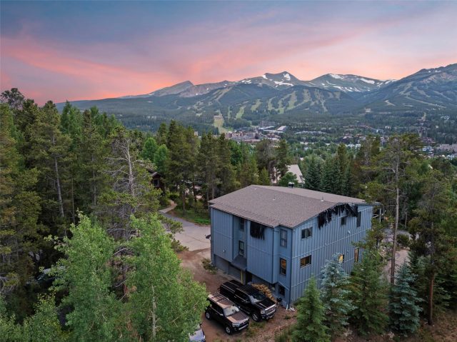 Condo in Quatre Vivant Condo, Breckenridge, CO — photo 2 (MLS S1059818)