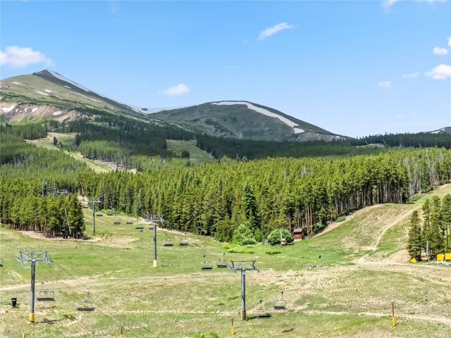 Condo in One Ski Hill Place, Breckenridge, CO — photo 6 (MLS S1061219)