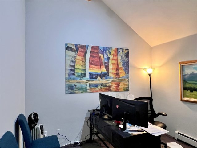350 Lake Dillon Drive A,b,c photo 25