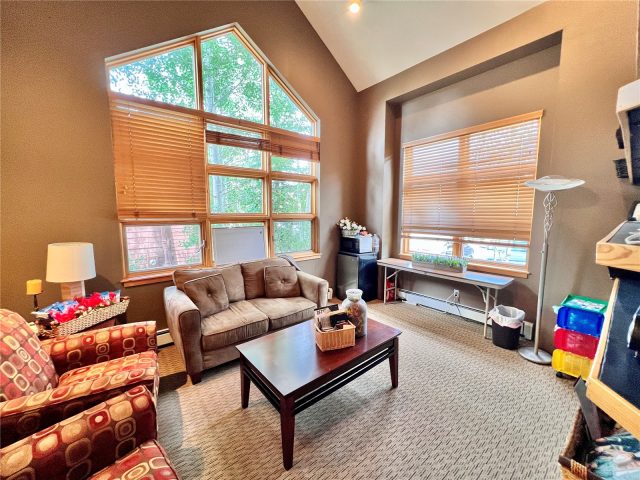 350 Lake Dillon Drive A,b,c photo 40
