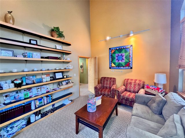 350 Lake Dillon Drive A,b,c photo 41