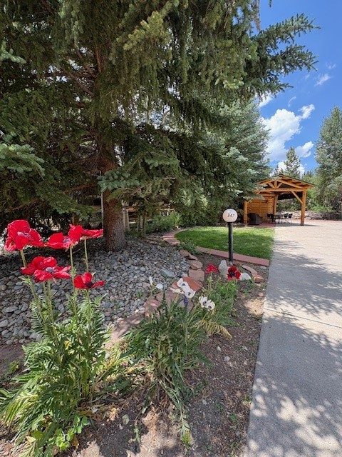 85 Revett #347 Drive, Breckenridge, CO — main photo