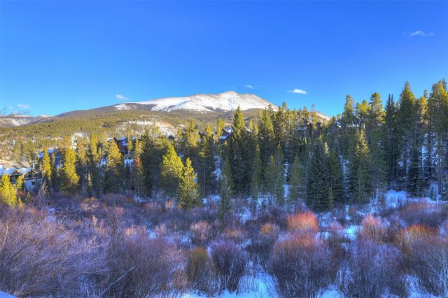 Timeshare in Tyra Sub, Breckenridge, CO — photo 2 (MLS S1061442)