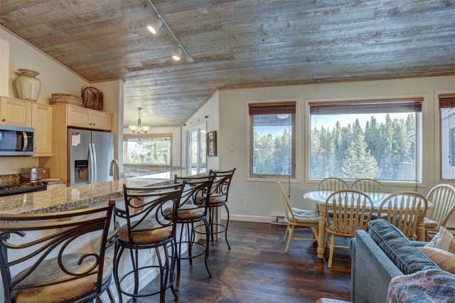 Timeshare in Tyra Sub, Breckenridge, CO — photo 4 (MLS S1061442)