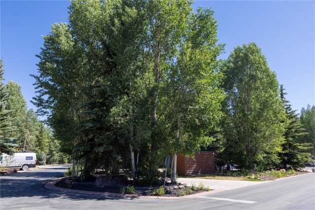 85 Revett Drive #320 photo 3