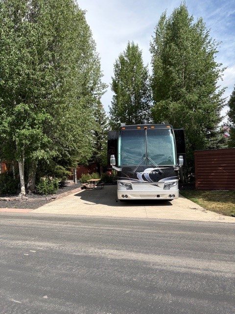 85 Revett Drive #320 photo 6