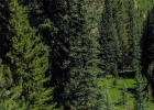 0289 County Road 535 photo 1