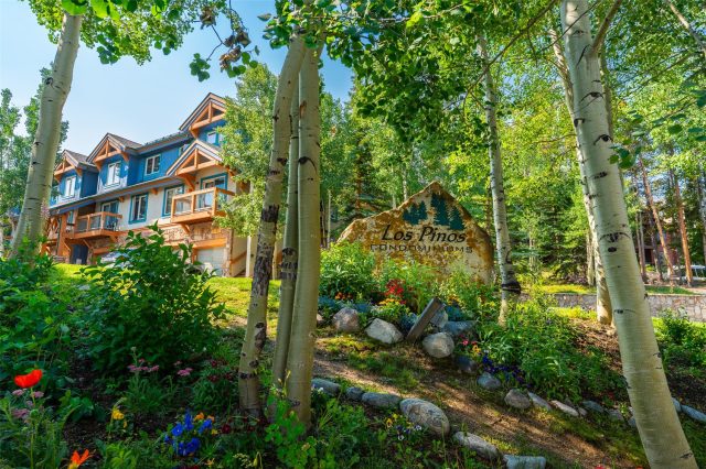 Condo in Los Pinos, Breckenridge, CO — photo 1 (MLS S1061871)
