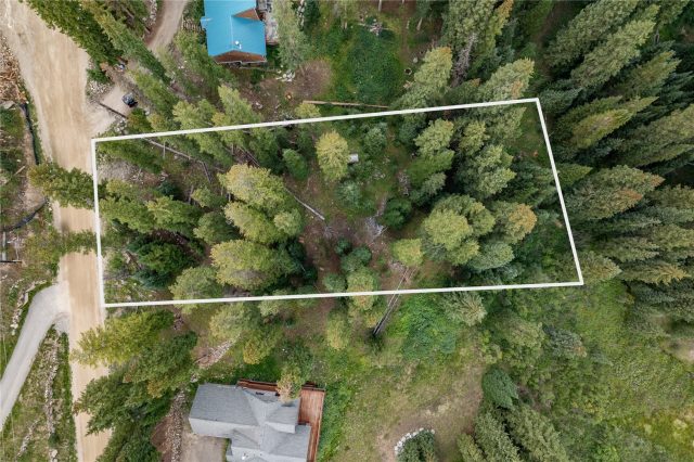 Land in Valley Of The Blue Sub, Breckenridge, CO — photo 2 (MLS S1062097)