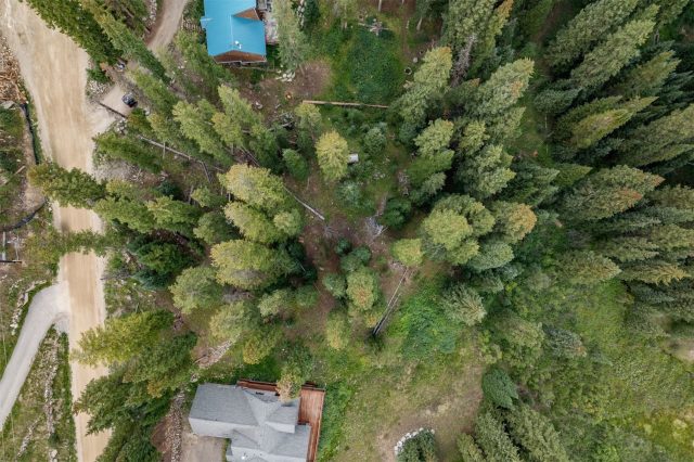 712 Doris Drive photo 9