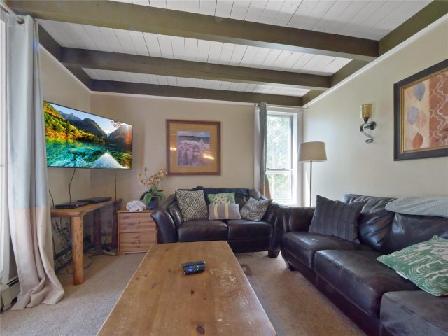 Condo in Treehouse Condo, Silverthorne, CO — photo 2 (MLS S1062106)