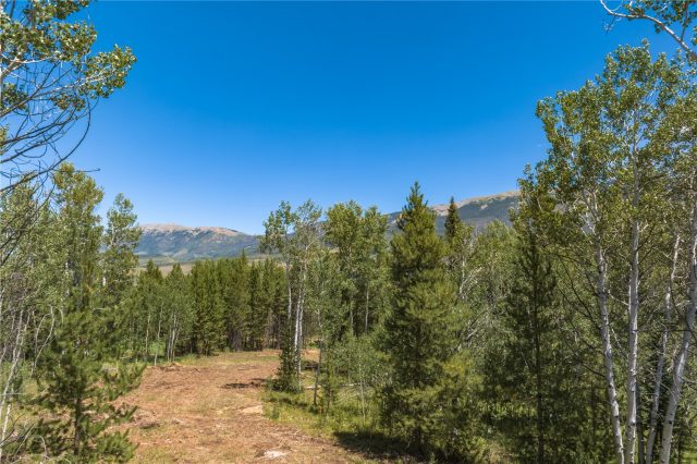 Home in The Overlook At Summit Sky Ranch, Silverthorne, CO — photo 6 (MLS S1062364)