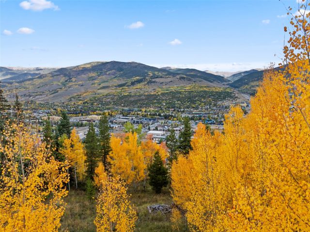 Land in Mesa Cortina Sub, Silverthorne, CO — photo 6 (MLS S1062712)