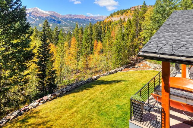 1031 Boreas Pass Road photo 10