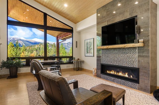 1031 Boreas Pass Road photo 20