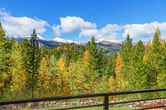 1031 Boreas Pass Road photo 31