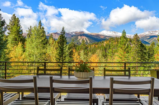 1031 Boreas Pass Road photo 32