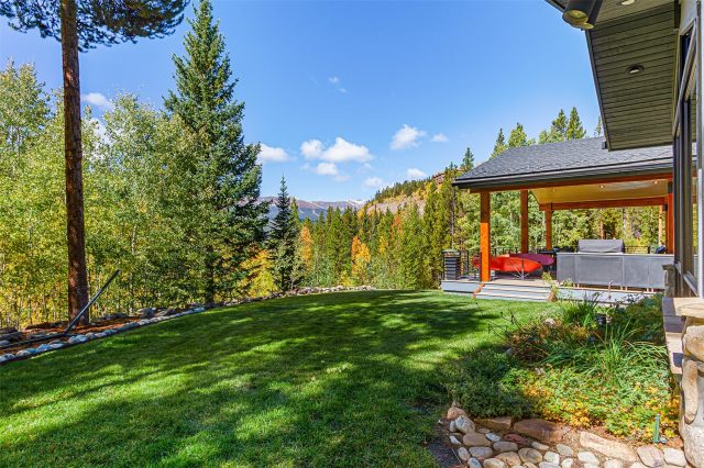 1031 Boreas Pass Road photo 47