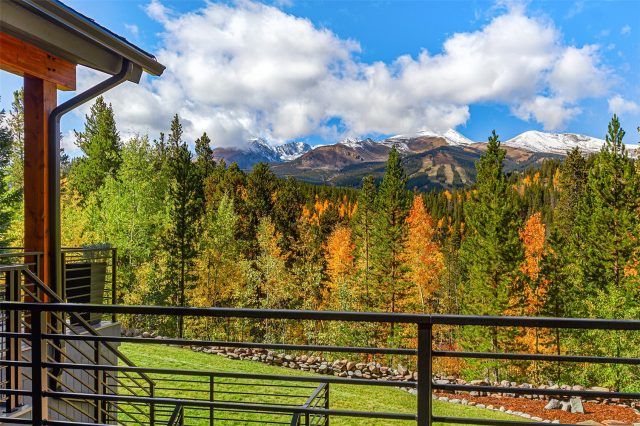 1031 Boreas Pass Road photo 7