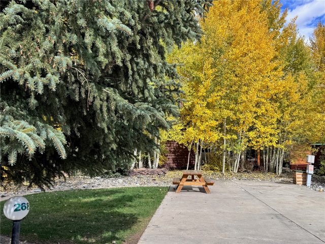 85 Revett #268 Drive photo 10
