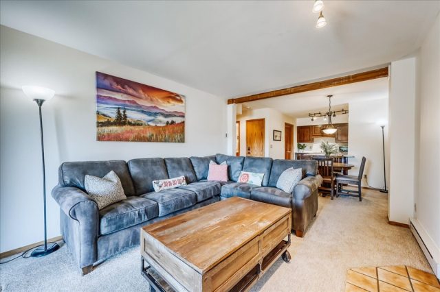 Condo in Tyra Summit Condo, Breckenridge, CO — photo 3 (MLS S1063905)
