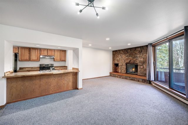 Condo in Marina Place Condo, Dillon, CO — photo 1 (MLS S1063921)
