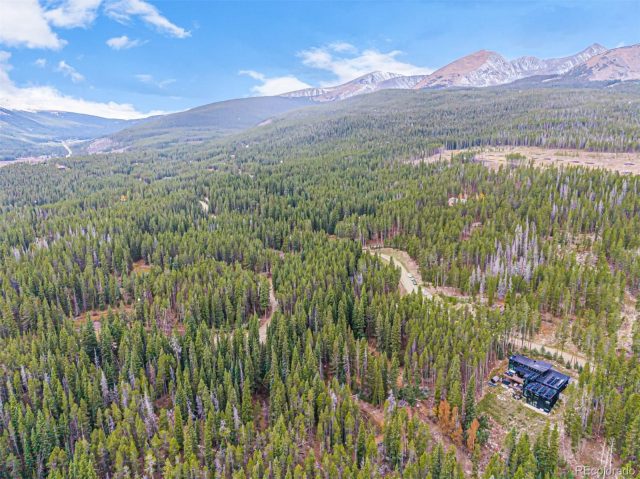 Residential in Gold King Placer Unsub, Breckenridge, CO — photo 5 (MLS S1063962)