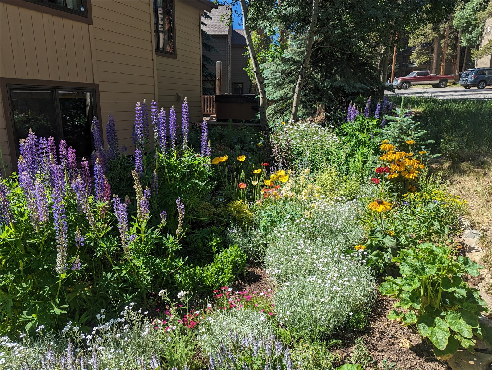114 Park Forest Drive, Breckenridge, CO — main photo