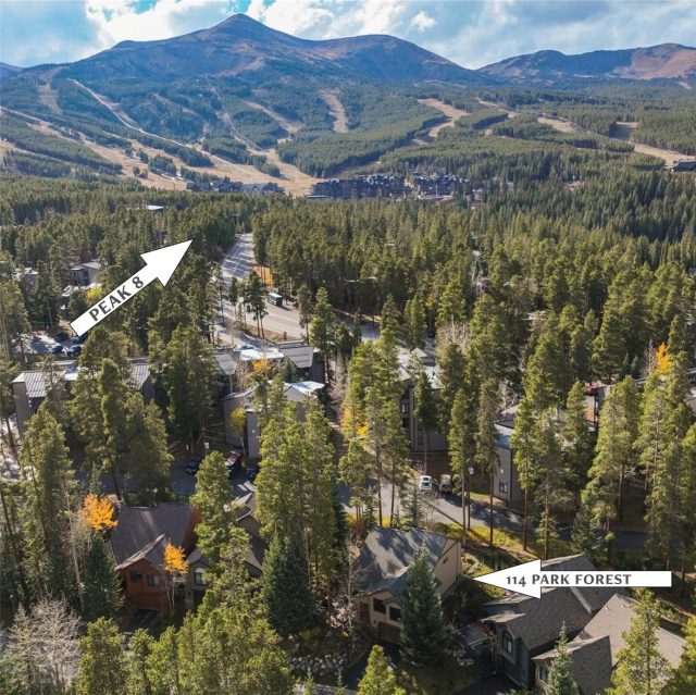 114 Park Forest Drive photo 42