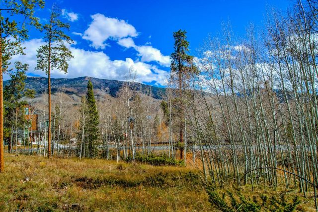 Land in Eagles Nest Sub, Silverthorne, CO — photo 1 (MLS S1063984)