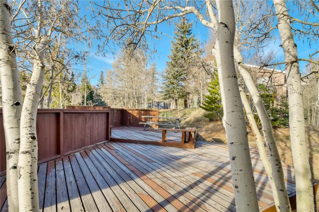 Condo in New Lamartine Condo, Silverthorne, CO — photo 1 (MLS S1064039)