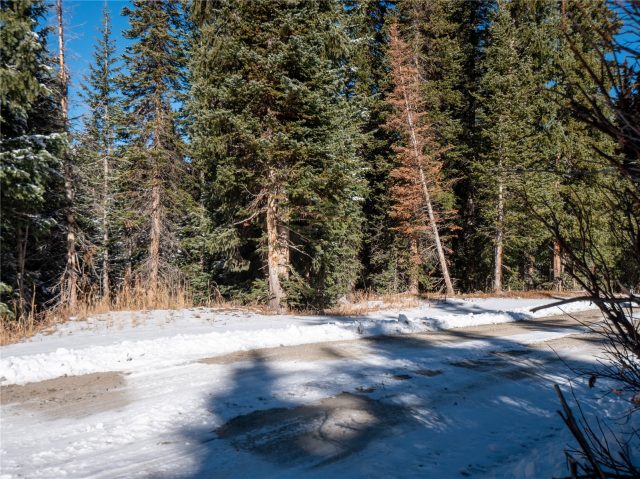 387 County Road 674 photo 20