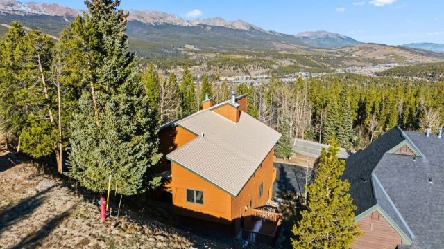 1682 Boreas Pass Road C photo 47