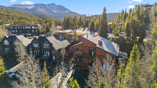 1682 Boreas Pass Road C photo 48