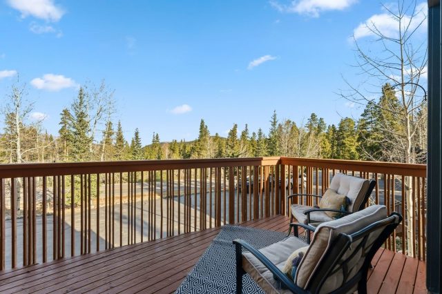 1682 Boreas Pass Road C photo 49